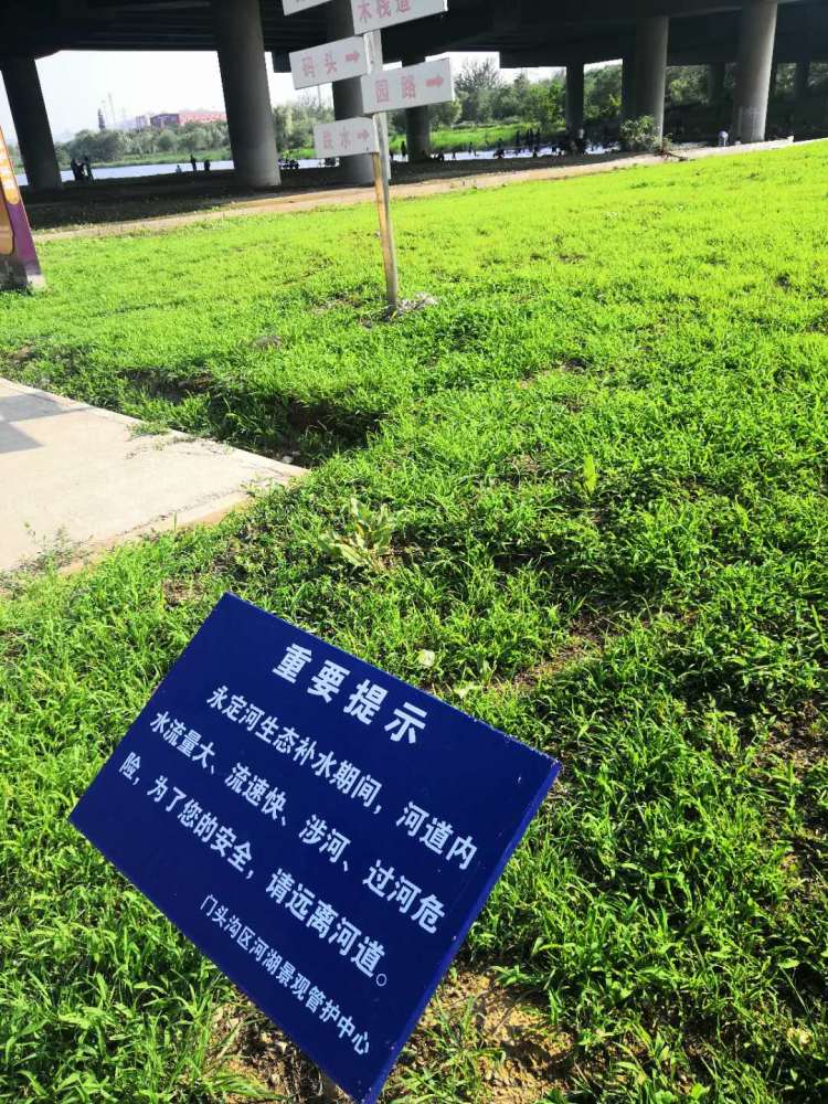 引水渠|危险！引水渠里游泳，公园湖上撞船，家长放任孩子玩水