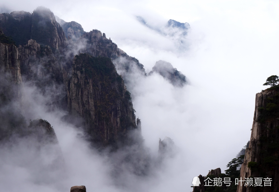 七月開始:財運暴漲,財運一路通,貴人不請自到的生肖