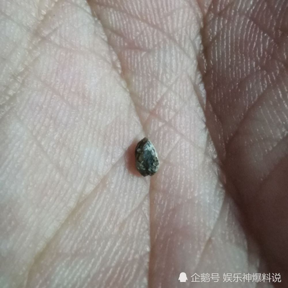 搞笑趣圖學校食堂的魚總感覺怪怪的