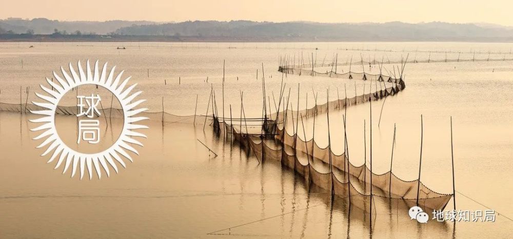 南洞庭湖|洞庭湖，越来越小