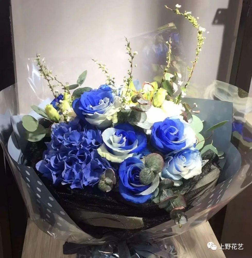 100种玫瑰之25天然蓝玫瑰