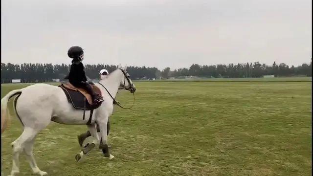 章子怡|章子怡两亿豪宅曝光，宫廷级装修太奢华，三层小楼还带泳池花园