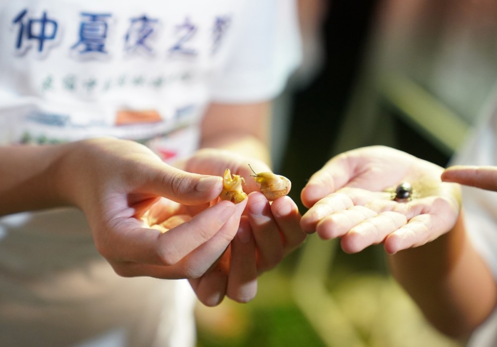 孩子|滑板车和轮滑被拒之门外，孩子逛公园照样玩得嗨