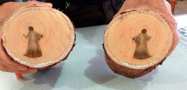 耶稣|巴西伐木工砍树，谁料切面竟浮现栩栩如生的耶稣像，大呼上帝显灵