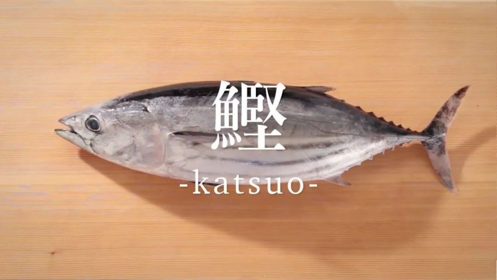 关于日本鱼文化 腾讯新闻
