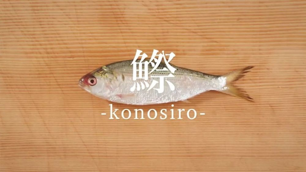 关于日本鱼文化 腾讯新闻