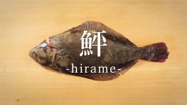 关于日本鱼文化 腾讯网
