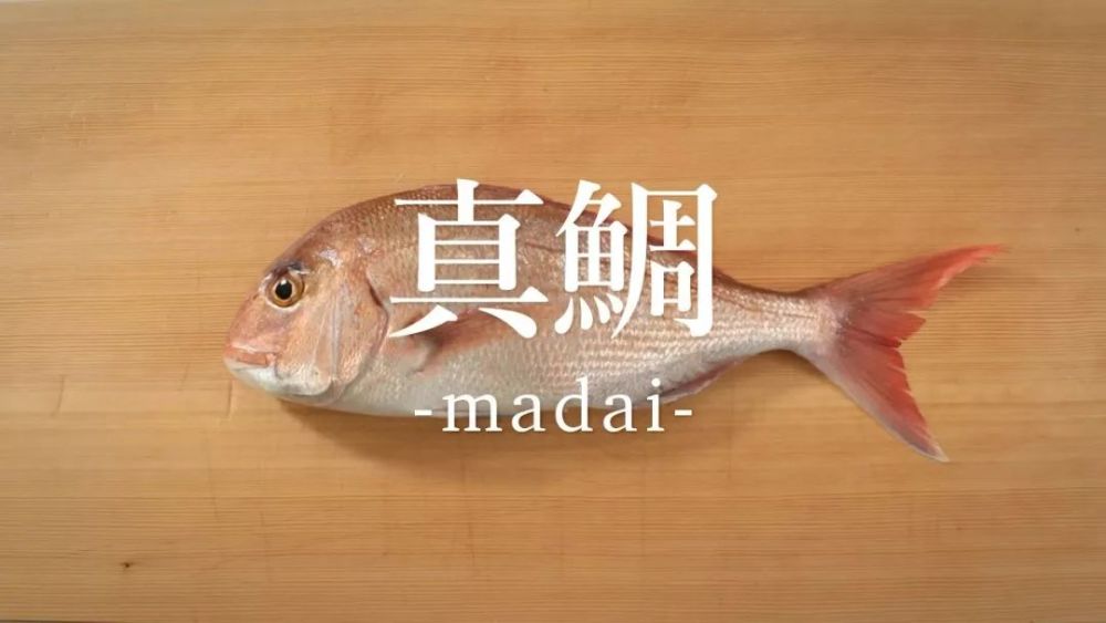 关于日本鱼文化 腾讯新闻