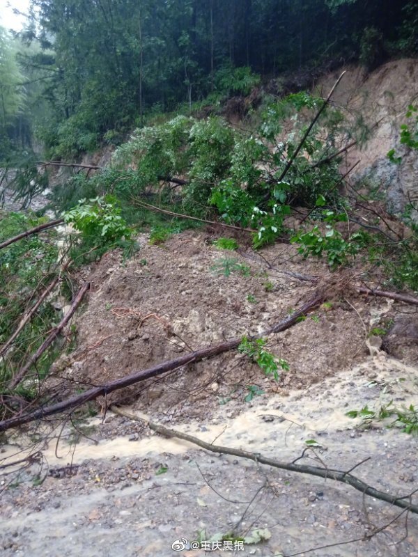 重庆开州区敦好镇山体滑坡2人死亡4人失联