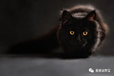 苏珊米勒 7月17日星座运势 人生得意须尽欢 星座运势 苏珊米勒 运势 摩羯座