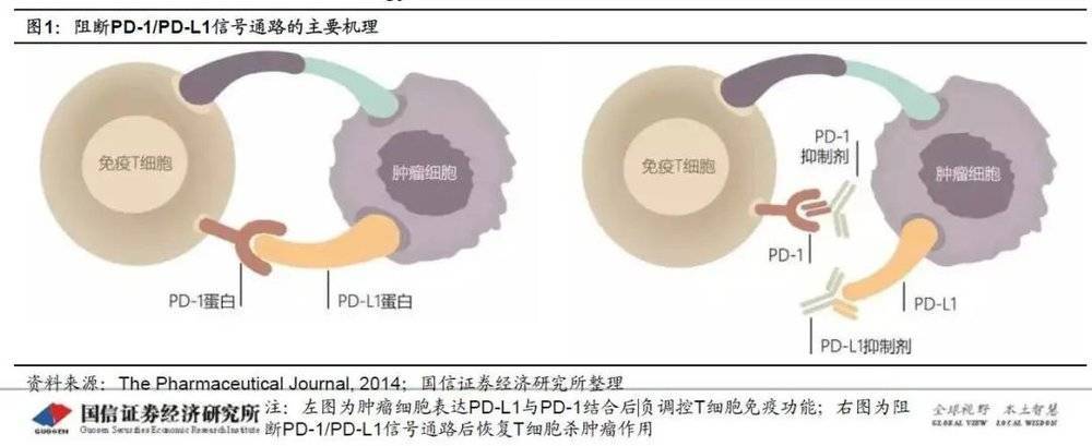 市值|年入七亿，市值千亿，谁家的妖股快来管一管