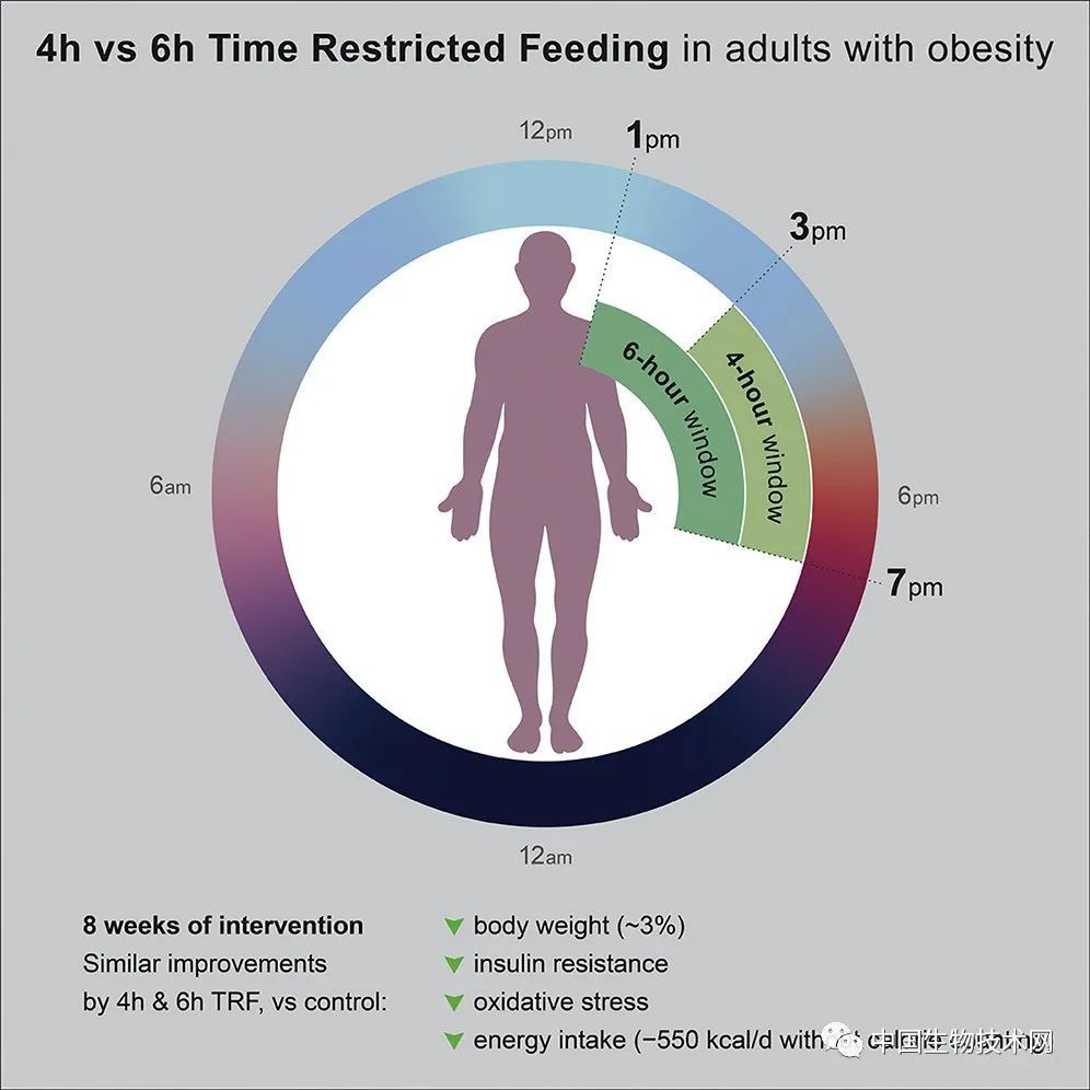 胶质母细胞瘤|脑科学日报：胶质母细胞瘤新靶标被发现；限时饮食可以减肥！
