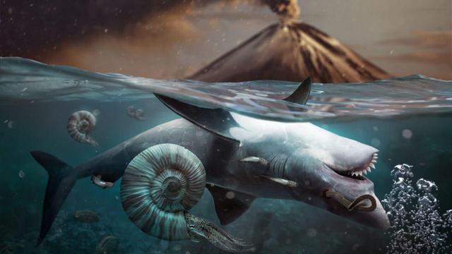 章鱼|章鱼应该来自外星？多个研究表明，科学家的怀疑或许是对的