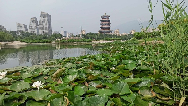门城湖公园|数伏头一天，门城湖美景吸引市民消夏避暑