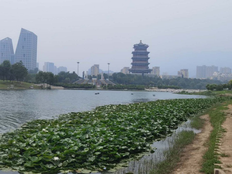 门城湖公园|数伏头一天，门城湖美景吸引市民消夏避暑