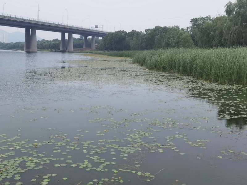 门城湖公园|数伏头一天，门城湖美景吸引市民消夏避暑