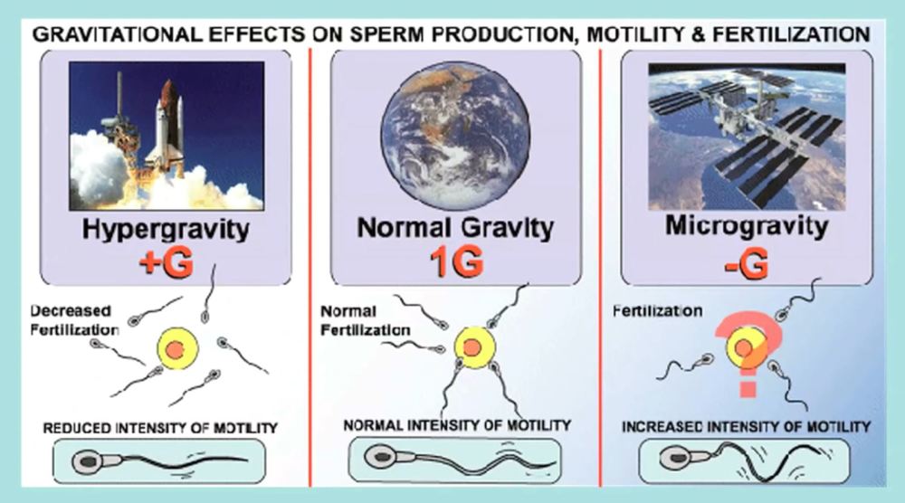 太空|如果我们出生在太空