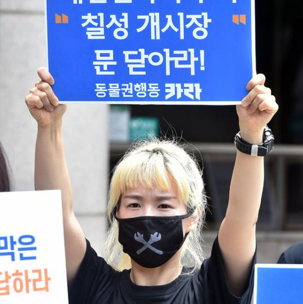 狗肉|吃狗肉增强抗暑能力？韩国民众戴头套抗议狗肉节并举行“狗葬”