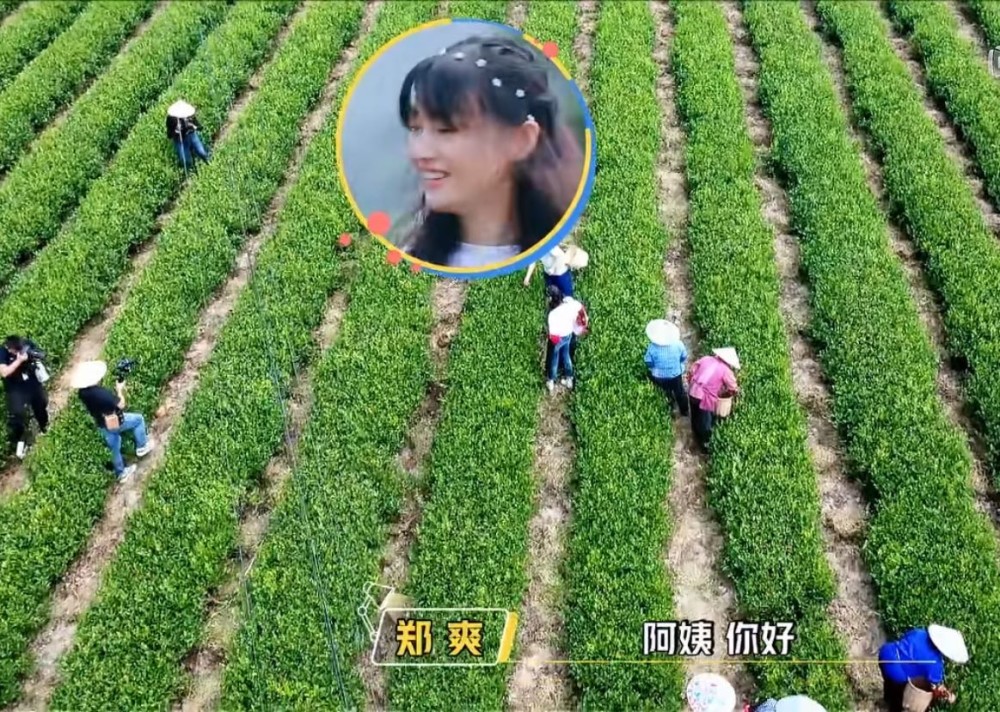 郑爽|郑爽吹彩虹屁翻车，遭老奶奶回怼，做演员这么多年，还是不会说话