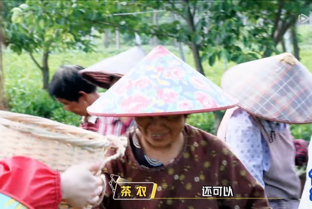 郑爽|郑爽吹彩虹屁翻车，遭老奶奶回怼，做演员这么多年，还是不会说话