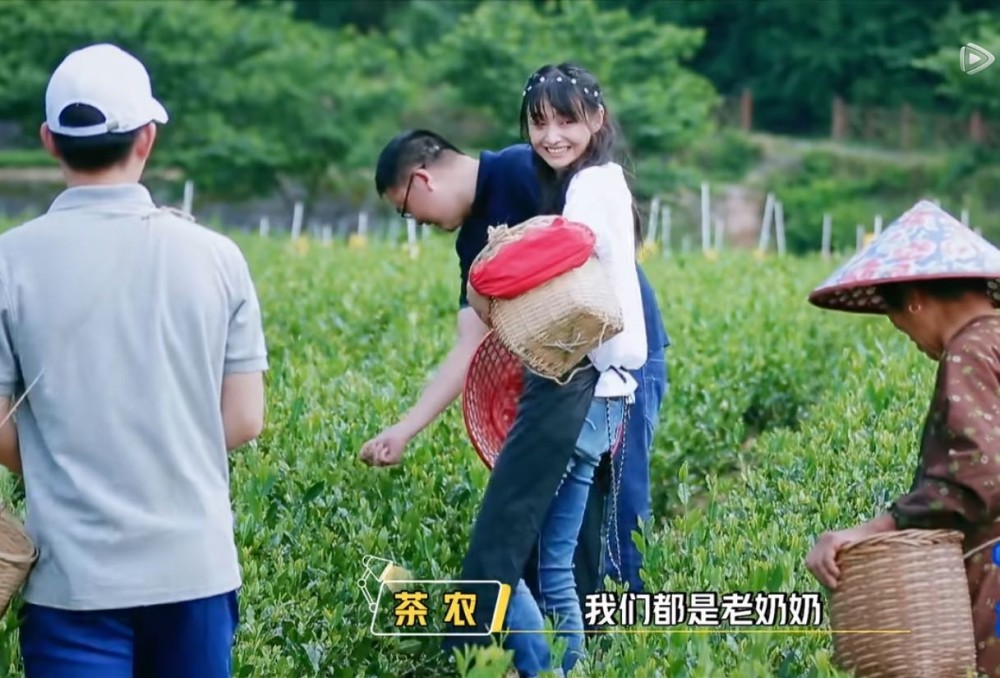 郑爽|郑爽吹彩虹屁翻车，遭老奶奶回怼，做演员这么多年，还是不会说话