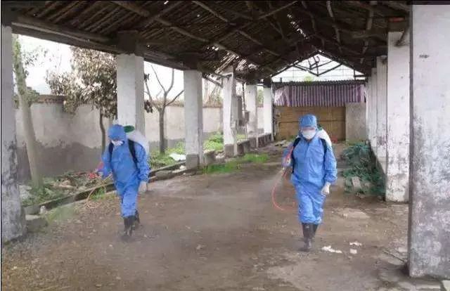 疫病|农业农村部发布洪涝灾害动物疫病防控技术指南，请收藏！