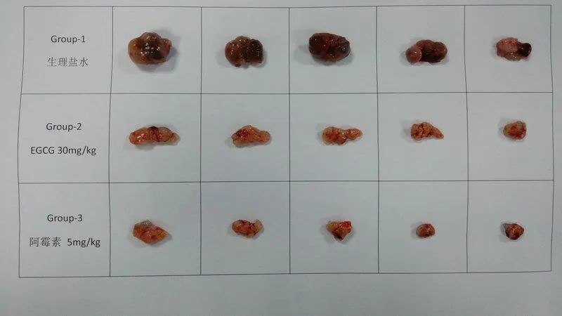 李红良|李红良的回复没毛病：“没有参与女儿实验”