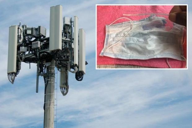 美英|电影中活不过三集：美英民众称口罩内有5G天线，正杀死佩戴者！