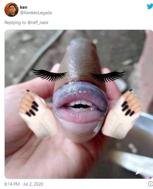 牙齿|马来西亚渔民钓上一条怪鱼，红润的嘴唇和齐整的牙齿像极了人类