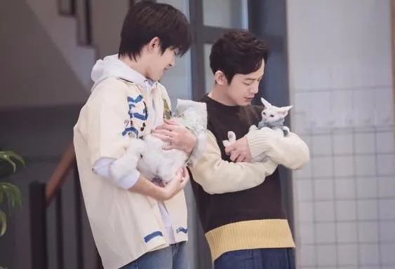 马浚伟|他们才是真时间管理大师