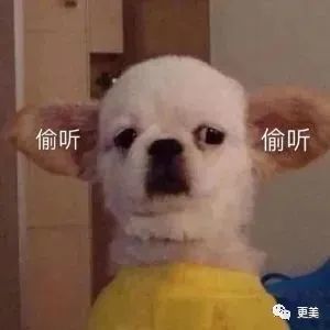 陈赫|曾美过杨幂，如今“馒化”成张大奕2.0，陈赫老婆整到认不出