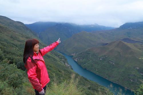 黄脚三趾鹑|贵州小县城传出“龙吟”，叫声洪亮婉转悠长，专家调查后大惊失色