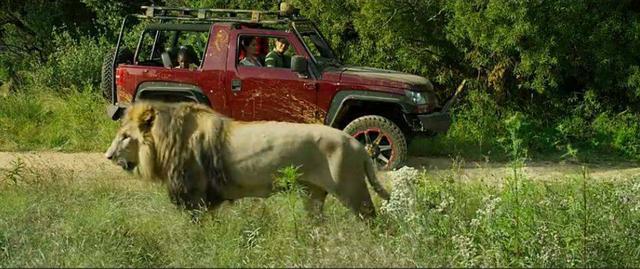 战狼2|为何20位明星拒演战狼2？看完章子怡当年的评价，答案水落石出