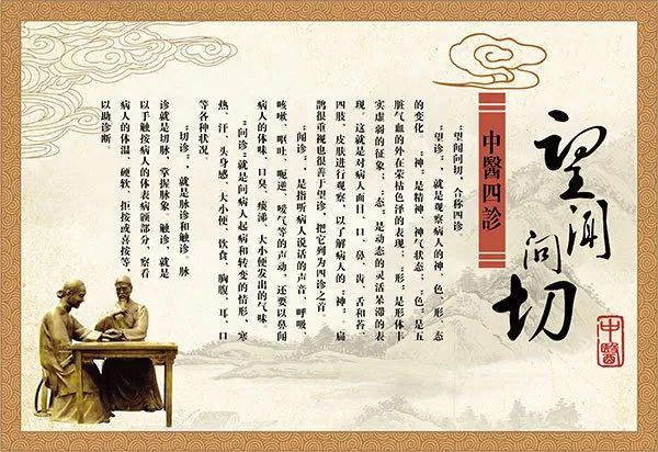 本草纲目|90后法国留学生：我想写一本欧洲的《本草纲目》