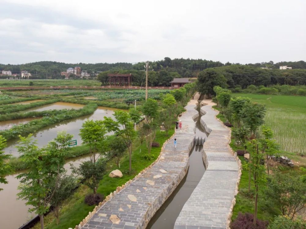 三大创新兴三农莲塘镇山桥村高质量发展纪实