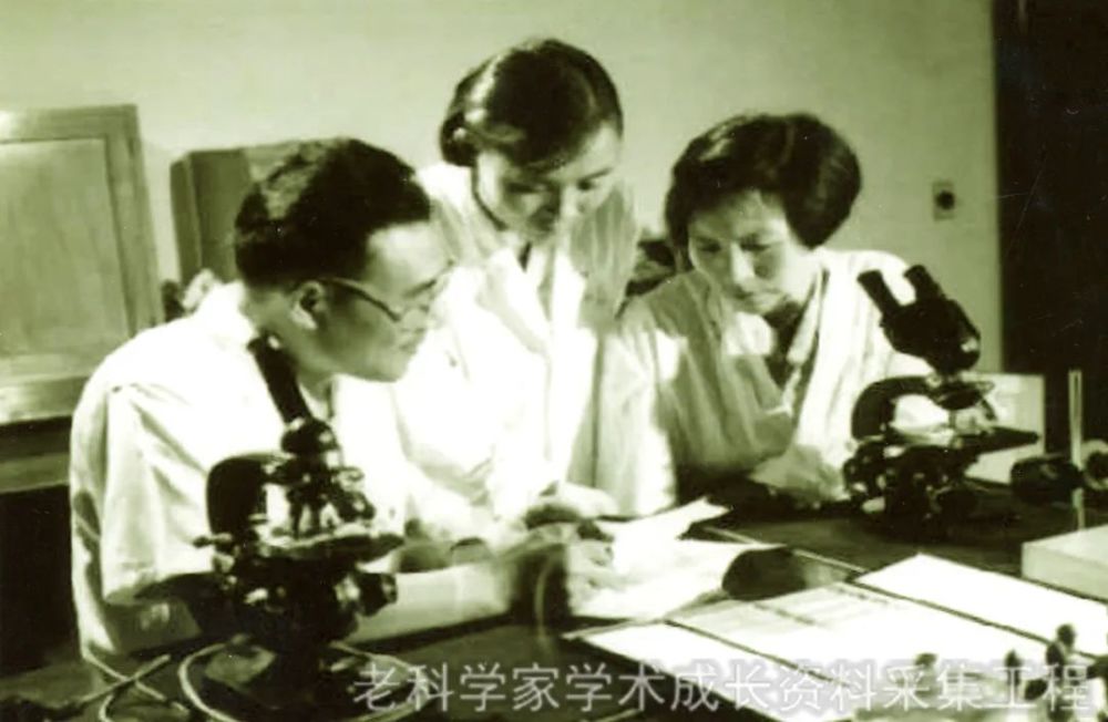 胡含|胡含：凌晨4点下地做科研，曾培育出世界首株小麦花粉植株