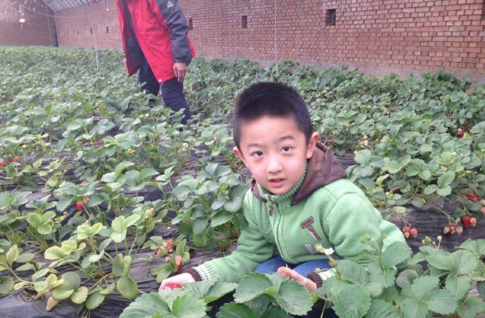 郭小宝|于谦15岁儿子近照曝光，个头直逼孟鹤堂，“郭小宝”更帅气了