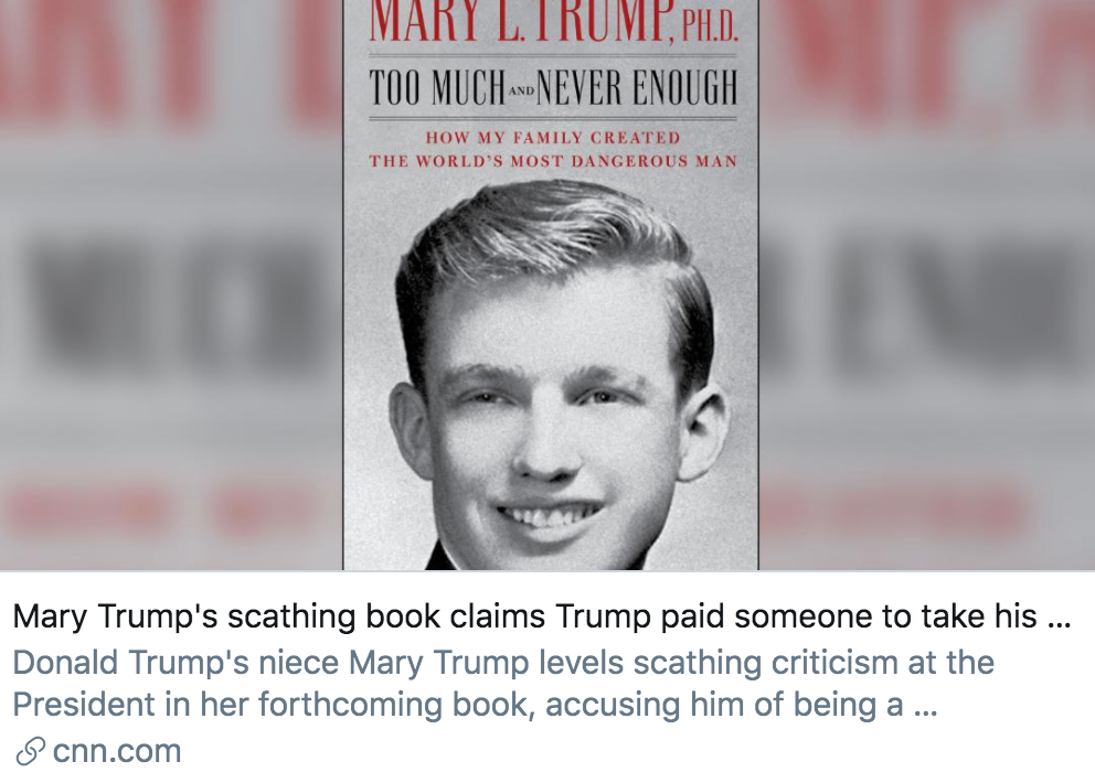 玛丽·特朗普|特朗普侄女希望其“辞职”，出版新书披露五大“黑料”