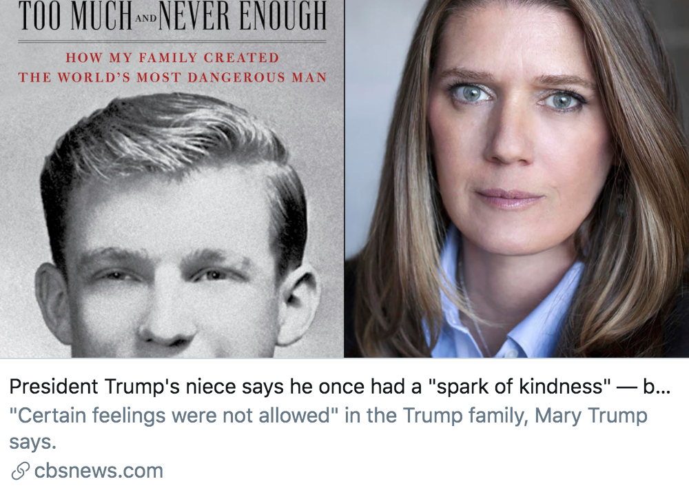 玛丽·特朗普|特朗普侄女希望其“辞职”，出版新书披露五大“黑料”