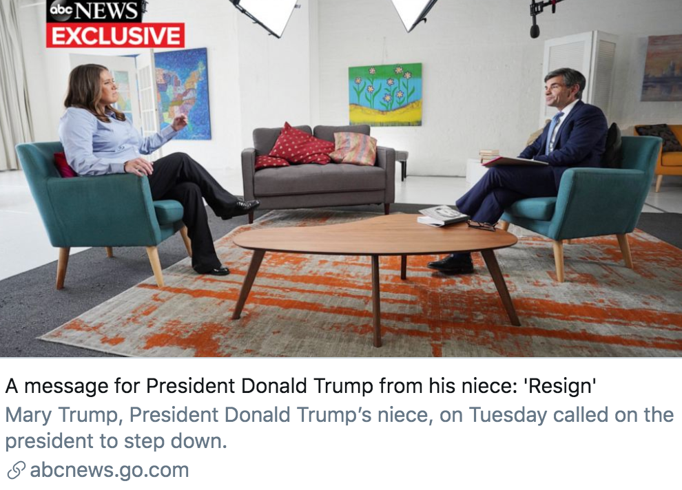 玛丽·特朗普|特朗普侄女希望其“辞职”，出版新书披露五大“黑料”