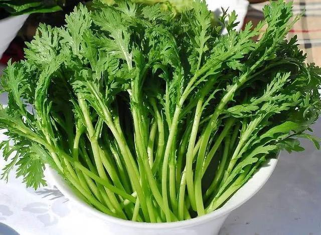 茼蒿菜,你爱它那个味儿吗?