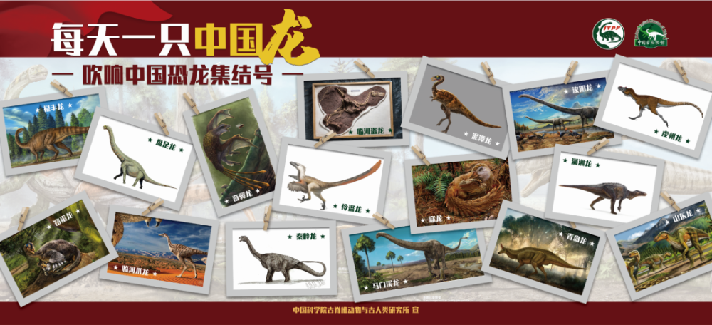 恐龙|【中国恐龙的新家】第四站——河南省地质博物馆，豫见中国龙