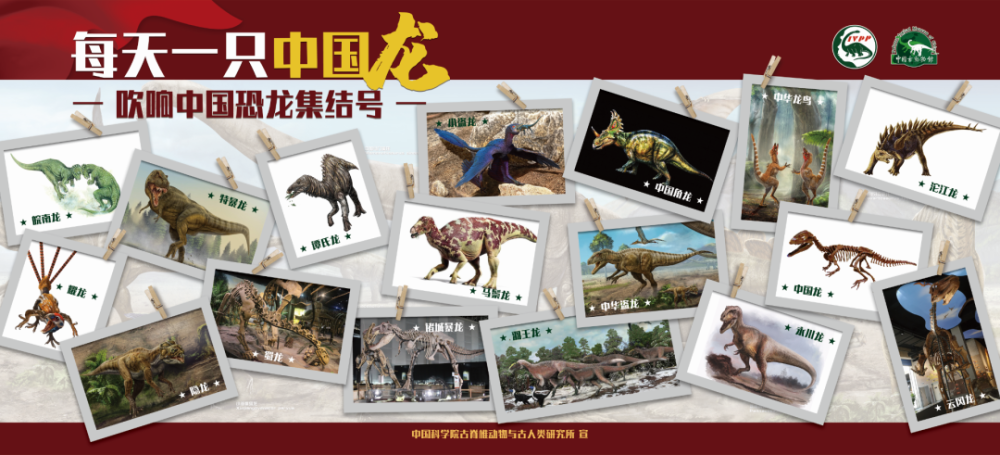 恐龙|【中国恐龙的新家】第四站——河南省地质博物馆，豫见中国龙