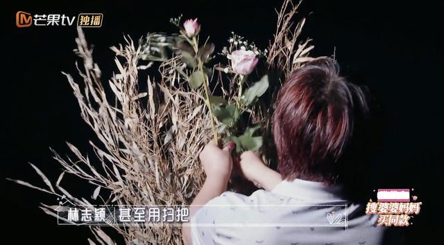 林志颖|林志颖骑白马为娇妻庆祝10周年超浪漫，婆婆提议用扫帚装饰好雷人