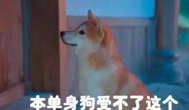 天舞纪|看完《天舞纪》，大家都是CP粉头天书爷爷