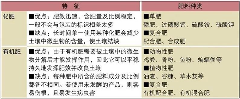 阳台种菜有多难 从5问5答中掌握有机种菜的基础知识 腾讯新闻