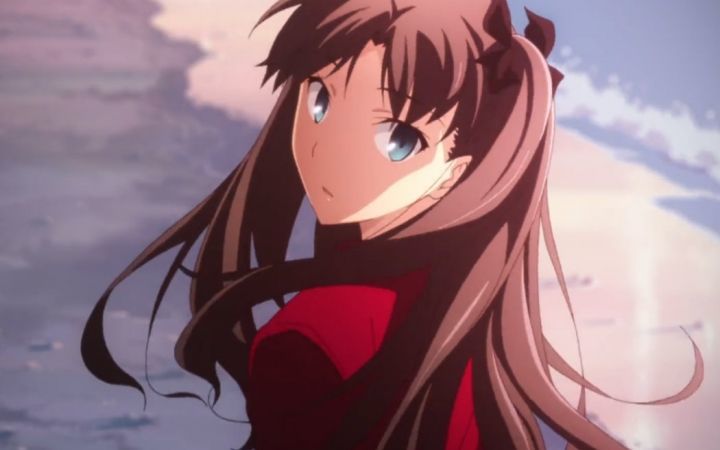 作为有史以来好评率最高的gal改动画之一,粉丝对助手牧濑红莉栖自然