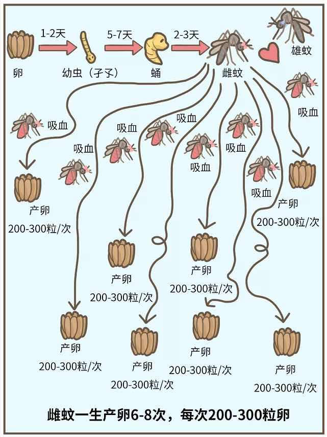 花园管家 如何解决院子里的蚊虫问题 腾讯新闻