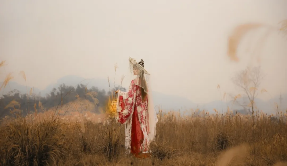 小悦悦事件|你什么人品，就什么命