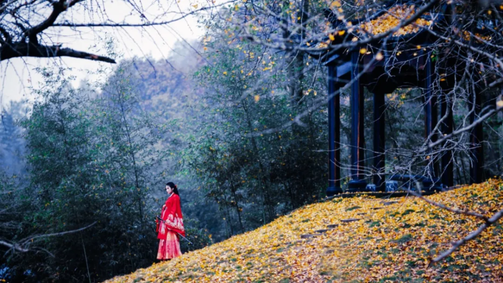 小悦悦事件|你什么人品，就什么命